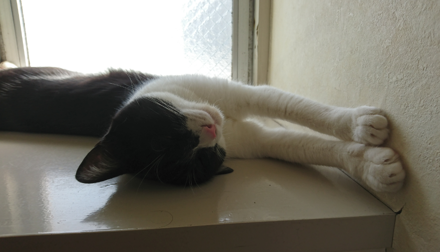 f:id:mo88mo:20180609165609p:plain f:id:mo88mo:20180609165609p:plain