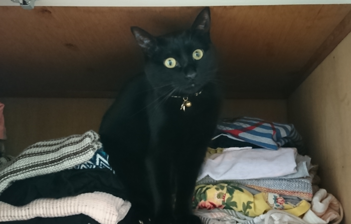 f:id:mo88mo:20180614163656p:plain