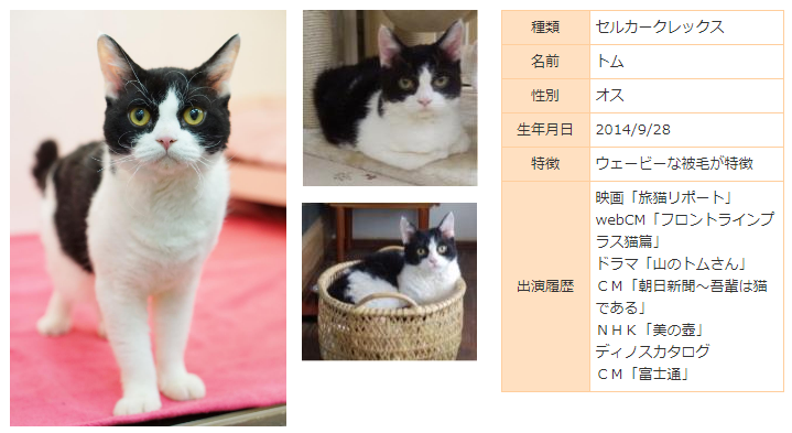 f:id:mo88mo:20181103111951p:plain