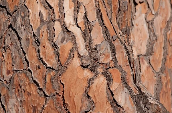 f:id:mo88mo:20190804111951p:plain