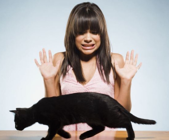 f:id:mo88mo:20190818110028p:plain