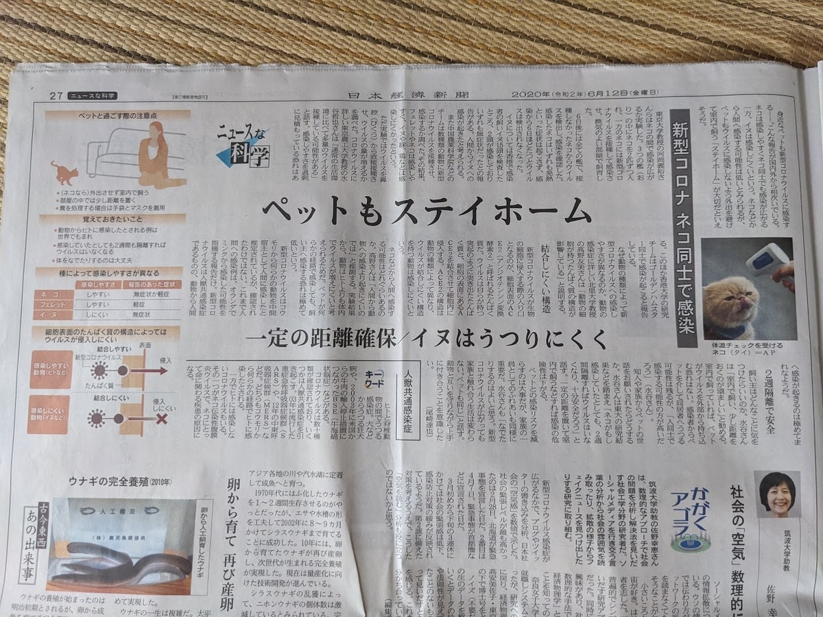 f:id:mo88mo:20200614100346j:plain