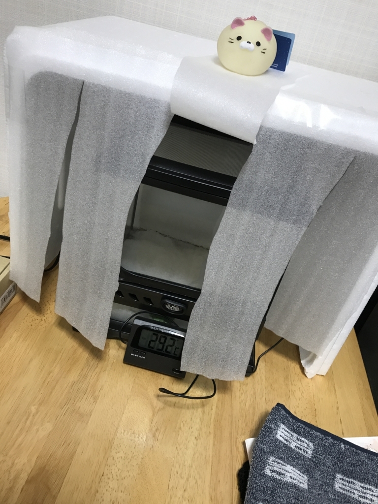 ツノガエル飼育スタート はじめに きゃべつぶろぐ ツノガエル飼育スタート はじめに きゃべつぶろぐ
