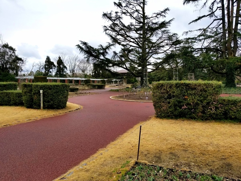 f:id:mo_ri_meguru:20190304010849j:plain f:id:mo_ri_meguru:20190304010849j:plain