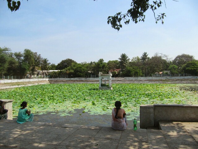 f:id:moainon:20210128151528j:plain