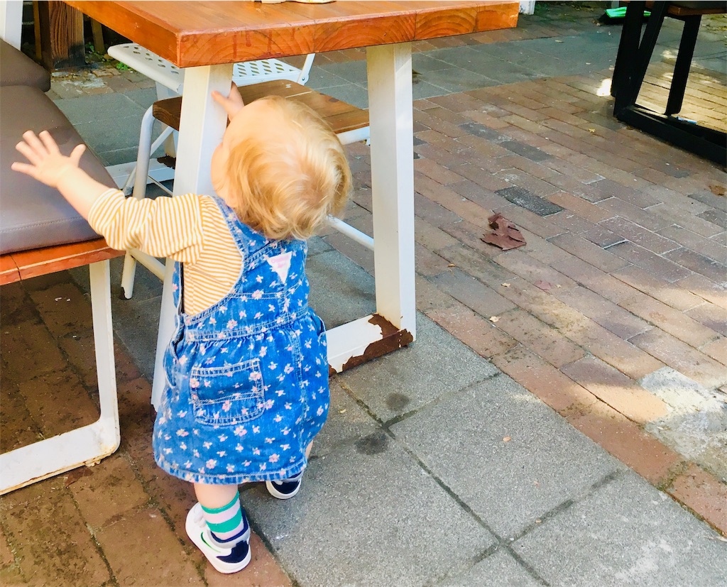 f:id:moanakiwilife:20191004121158j:image