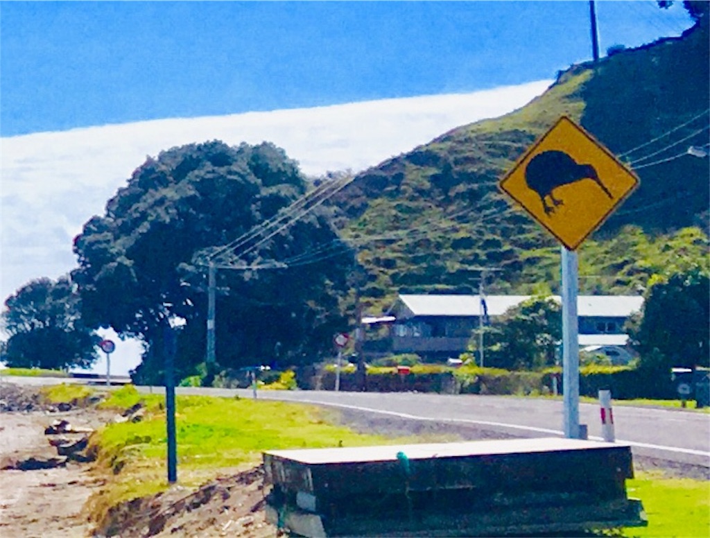 f:id:moanakiwilife:20191007164249j:image