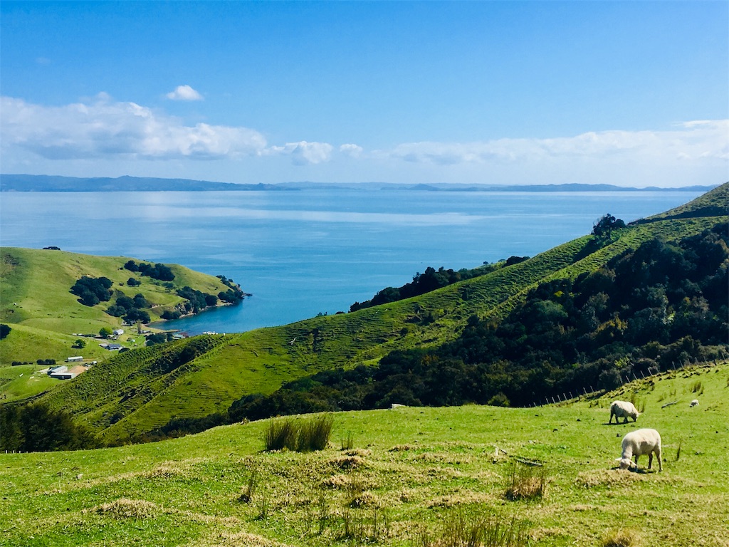 f:id:moanakiwilife:20191007164524j:image