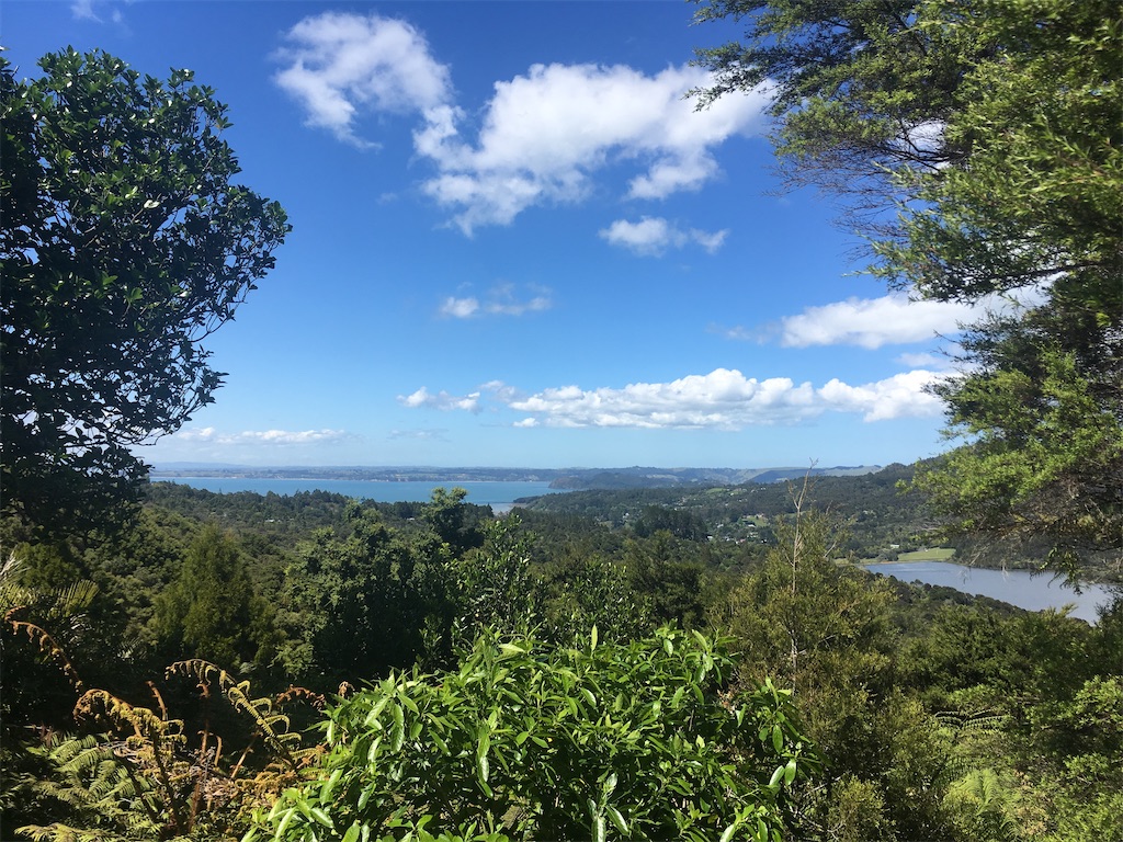 f:id:moanakiwilife:20200216192832j:image