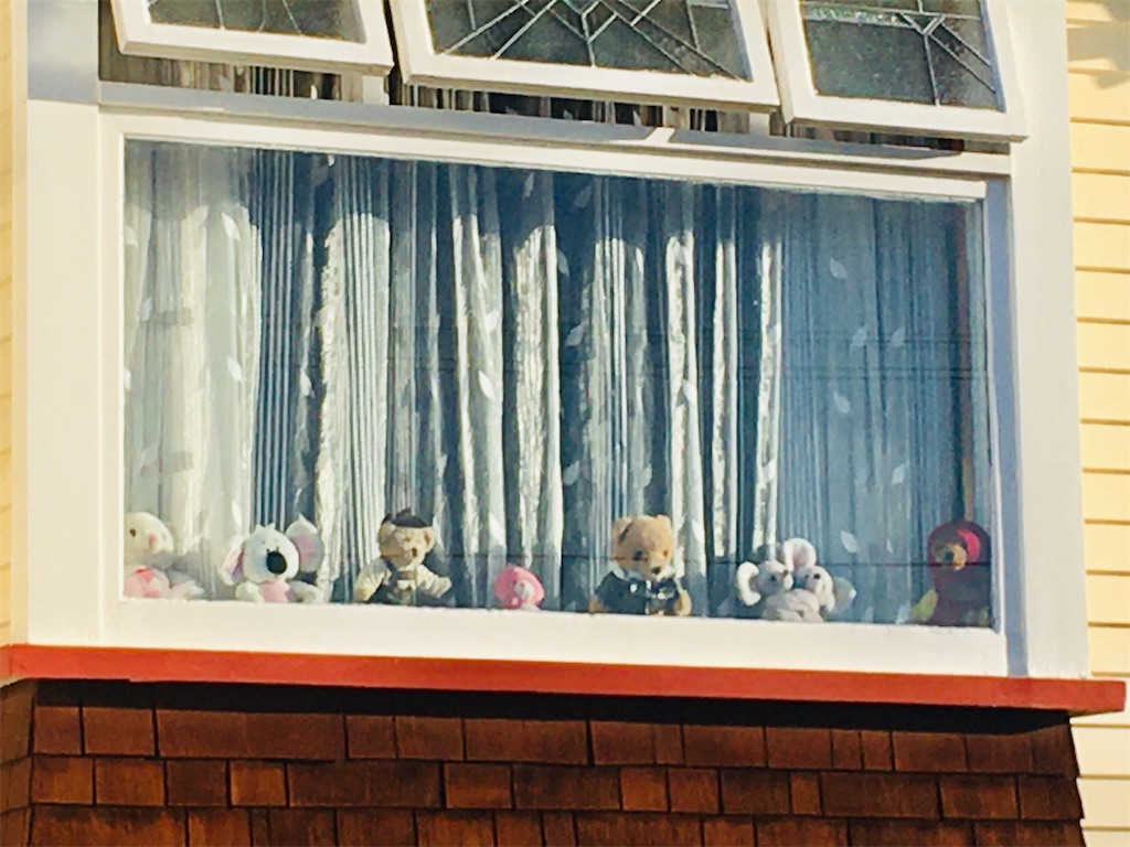 f:id:moanakiwilife:20200327055633j:image