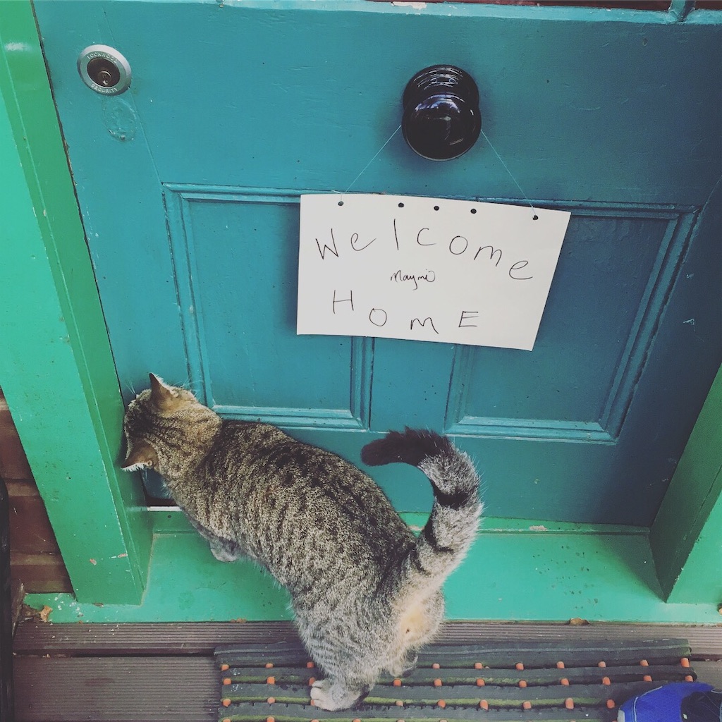 f:id:moanakiwilife:20200409081959j:image