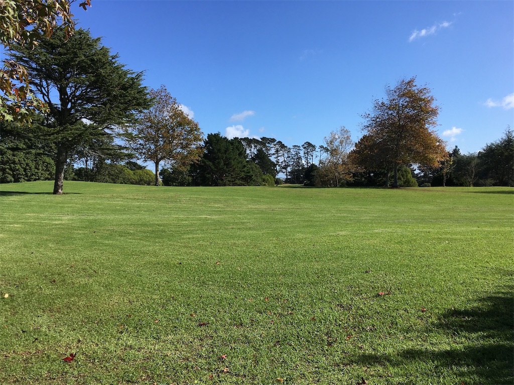 f:id:moanakiwilife:20200507073759j:image