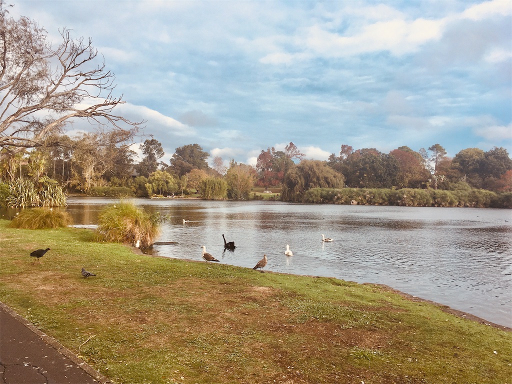 f:id:moanakiwilife:20200507073826j:image