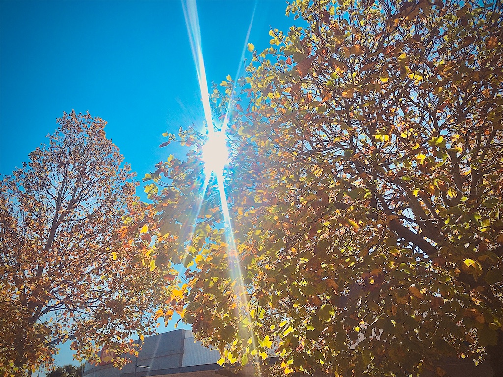 f:id:moanakiwilife:20200525145334j:image