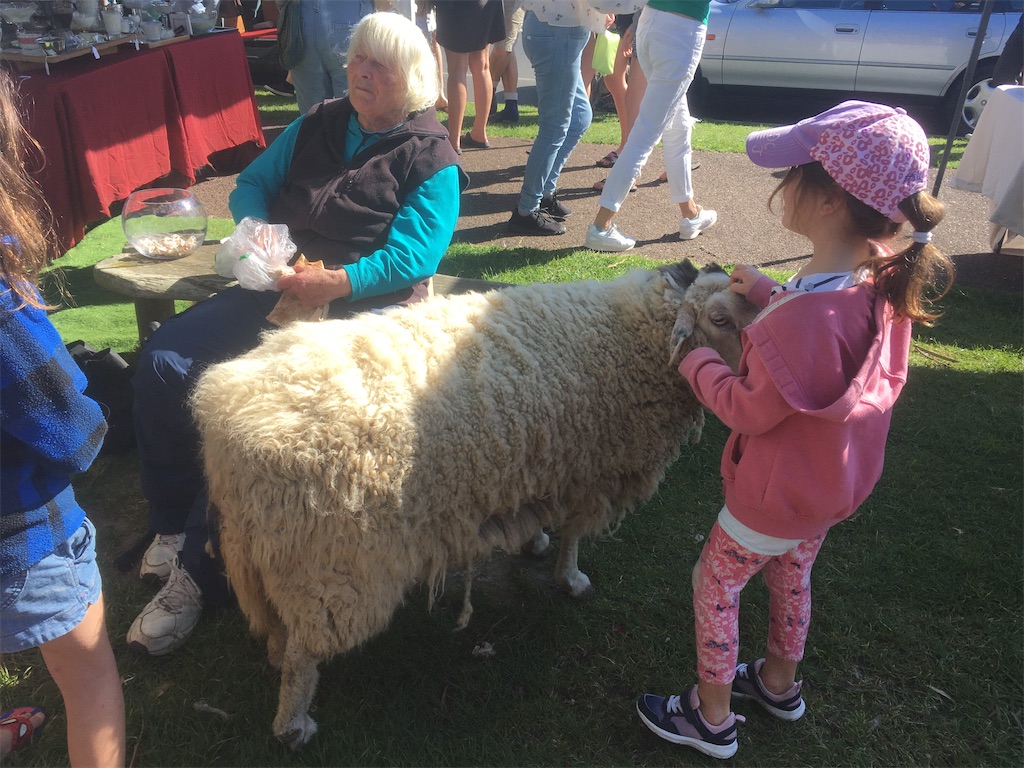 f:id:moanakiwilife:20201009064605j:image