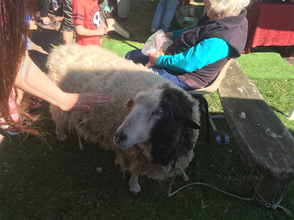 f:id:moanakiwilife:20201009064608j:image