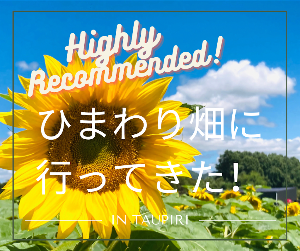 ハミルトンのすぐ近くにあるひまわり畑に行ってきた - KIWI LIFE of MOANA