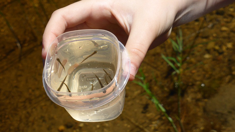 f:id:mob-channel:20160312202826j:plain f:id:mob-channel:20160312202826j:plain