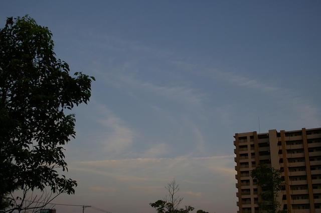 20050804184659