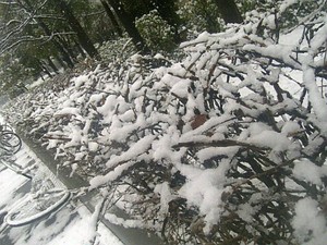 20080209132519