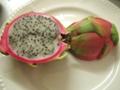 [uk][food]Dragon Fruit