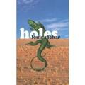 [book]Holes