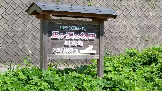 f:id:mobemobe617:20170719183332j:plain f:id:mobemobe617:20170719183332j:plain