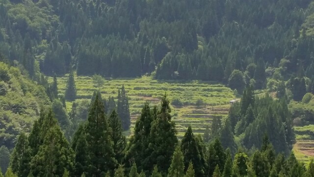 f:id:mobemobe617:20170719183444j:plain f:id:mobemobe617:20170719183444j:plain