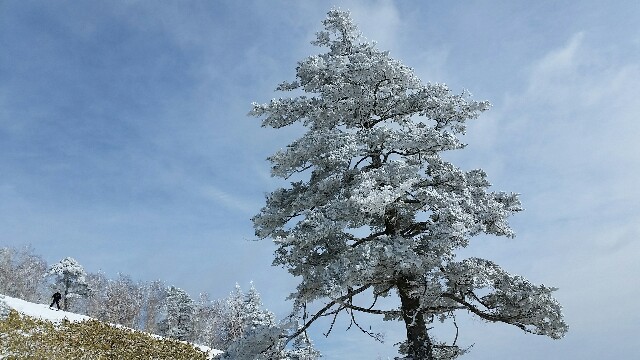 f:id:mobemobe617:20190210221831j:plain