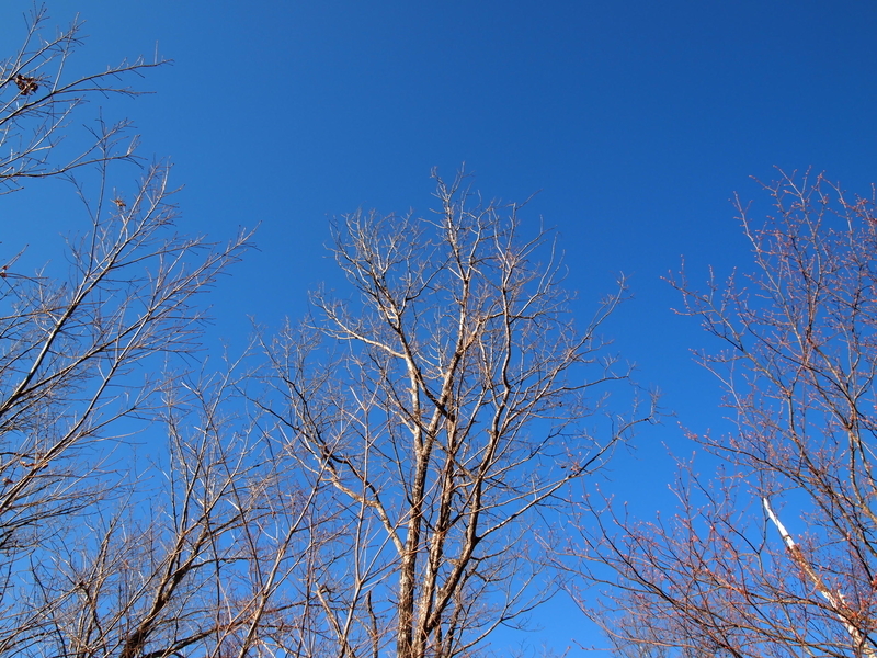 f:id:mobemobe617:20190405124646j:plain