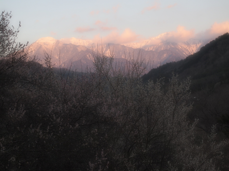 f:id:mobemobe617:20190405125037j:plain