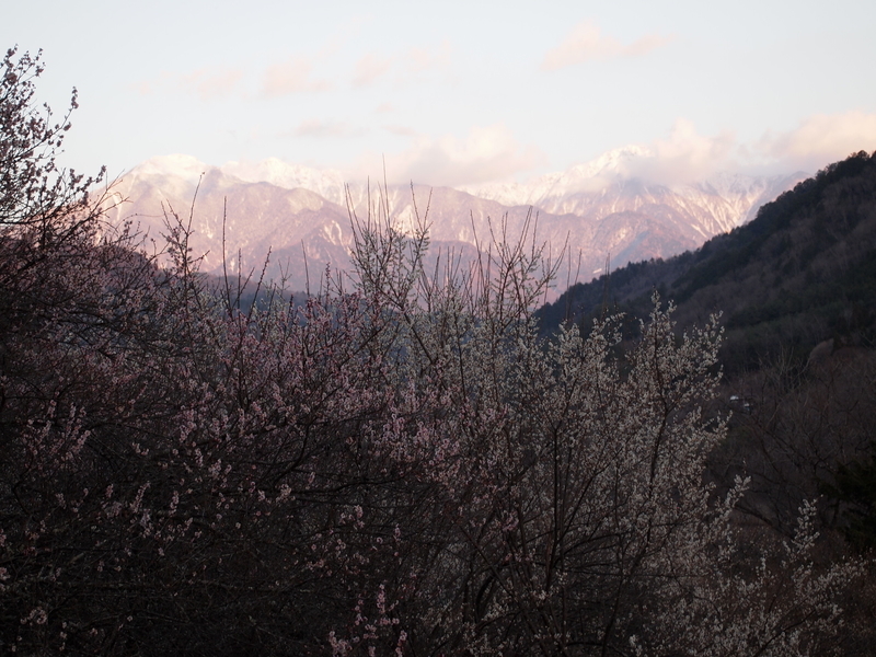 f:id:mobemobe617:20190405125044j:plain