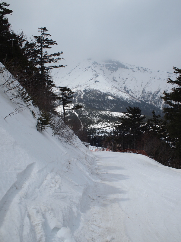 f:id:mobemobe617:20190408185845j:plain