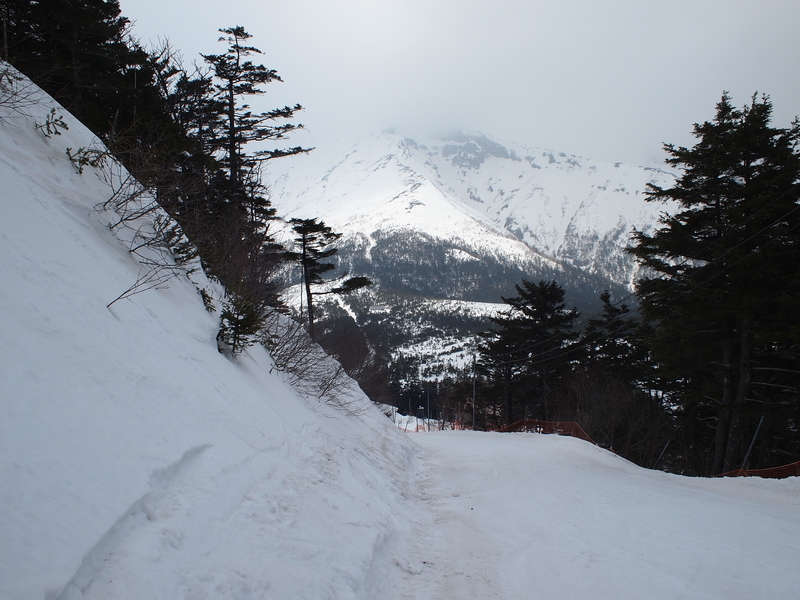 f:id:mobemobe617:20190408185852j:plain