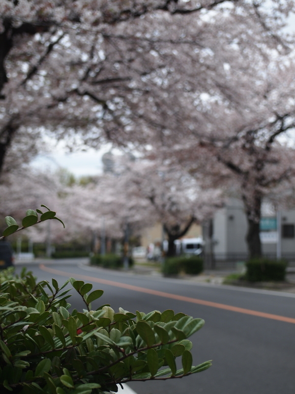 f:id:mobemobe617:20190413120054j:plain