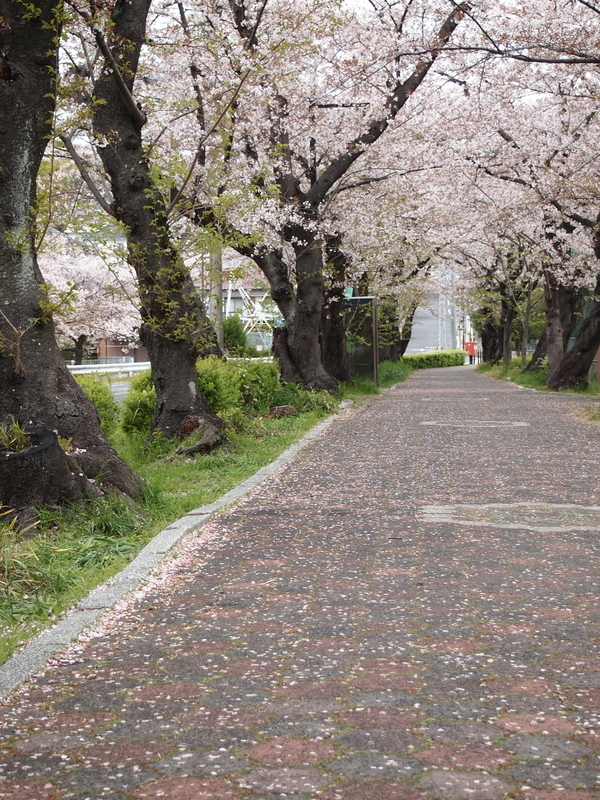 f:id:mobemobe617:20190413120105j:plain