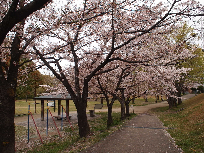 f:id:mobemobe617:20190413120113j:plain