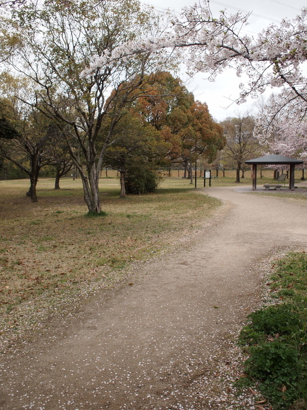 f:id:mobemobe617:20190413120121j:plain