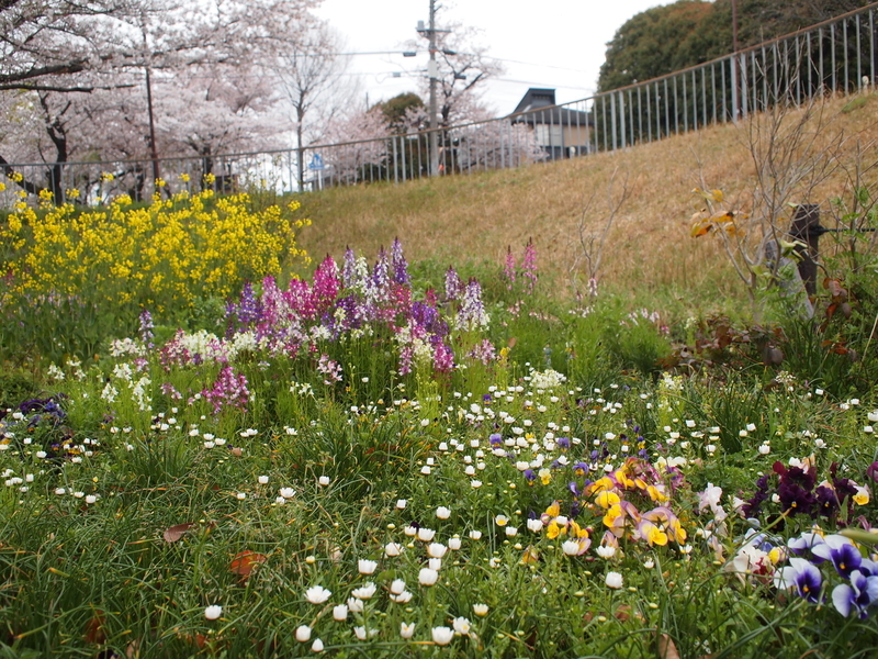 f:id:mobemobe617:20190413120129j:plain