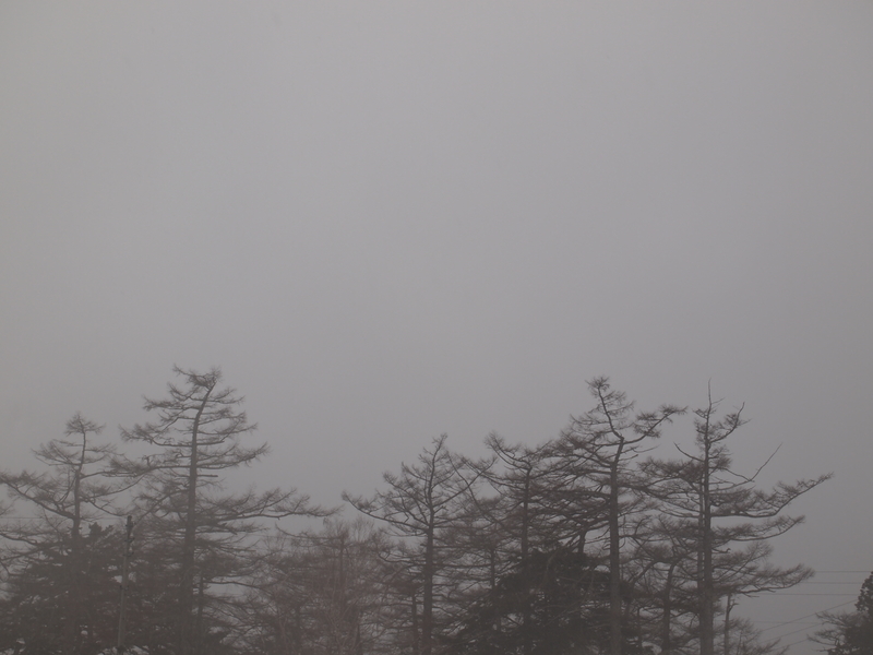 f:id:mobemobe617:20190415221223j:plain