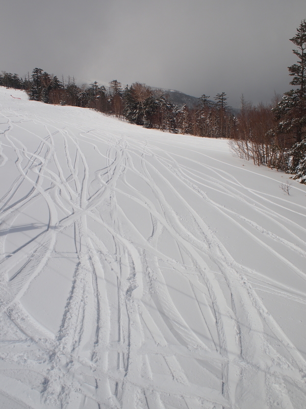 f:id:mobemobe617:20190415221836j:plain