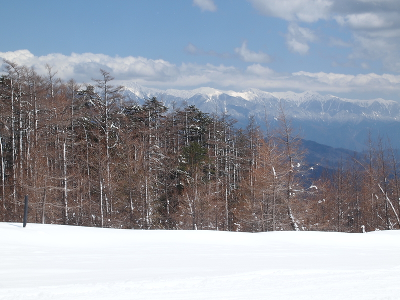 f:id:mobemobe617:20190415222605j:plain