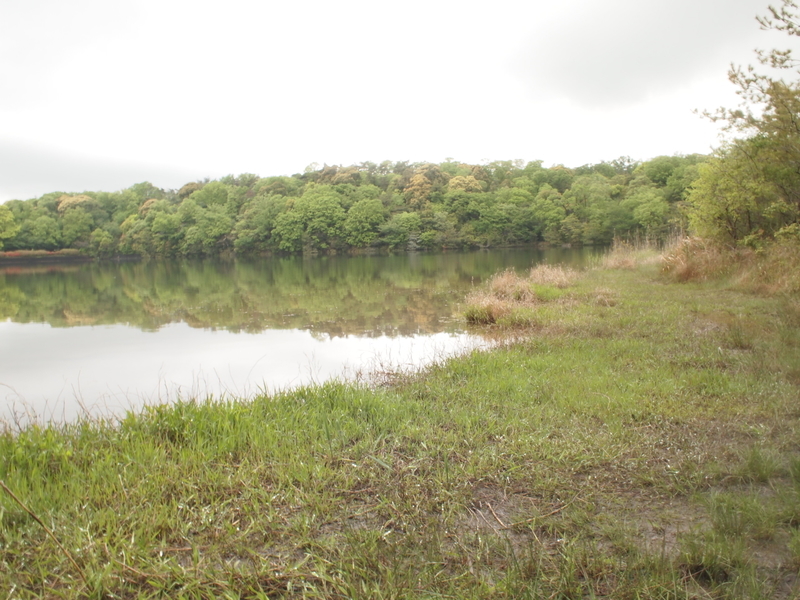 f:id:mobemobe617:20190430203432j:plain