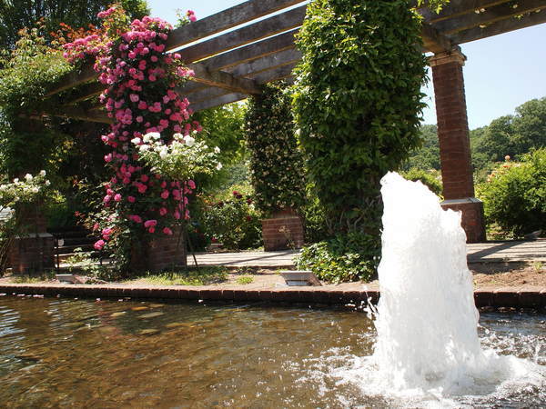 f:id:mobemobe617:20190529002020j:plain