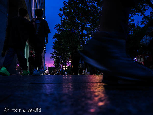 f:id:mobemobe617:20190810064425j:plain