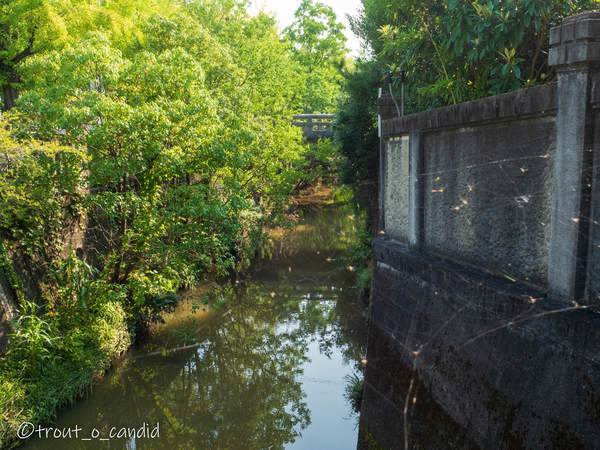 f:id:mobemobe617:20190820082813j:plain