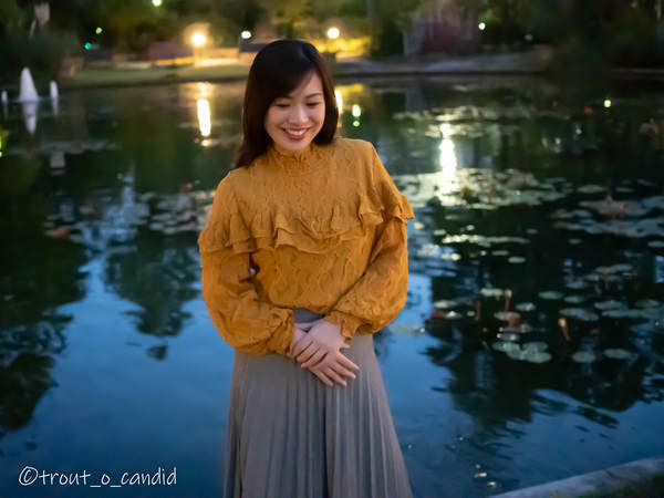 f:id:mobemobe617:20191116185015j:plain