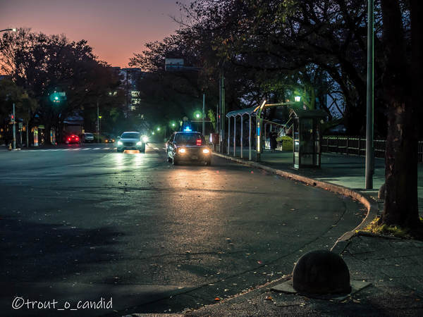 f:id:mobemobe617:20191116185158j:plain