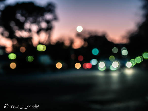 f:id:mobemobe617:20191116185210j:plain