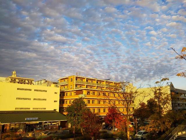 f:id:mobemobe617:20191118222038j:plain